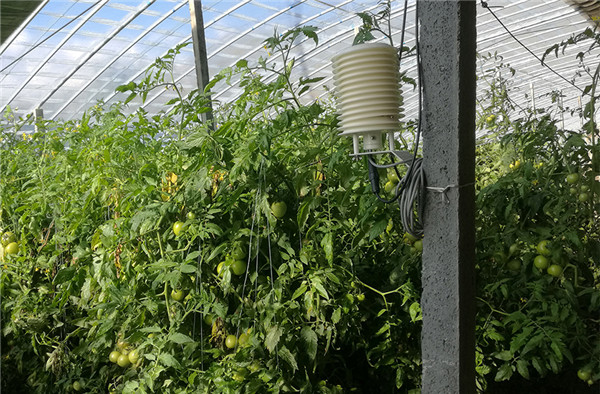 氣象監(jiān)測系統(tǒng)需要監(jiān)測的因素有哪些?