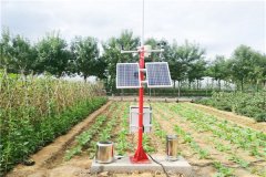 農業(yè)氣象站在智慧農業(yè)發(fā)展中的作用