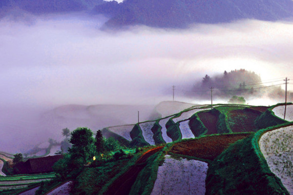 便攜式氣象站 便攜式氣象站