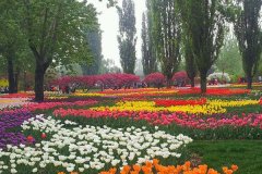 便攜式自動氣象站減少森林火災(zāi)