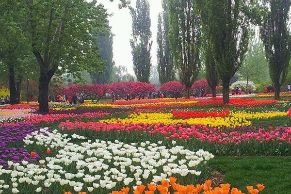 校園氣象站 校園氣象站