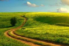 農(nóng)業(yè)氣象站保護莊稼不受惡劣天氣傷害