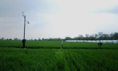 農(nóng)業(yè)小氣候觀測設(shè)備在農(nóng)業(yè)方面發(fā)揮重要作用
