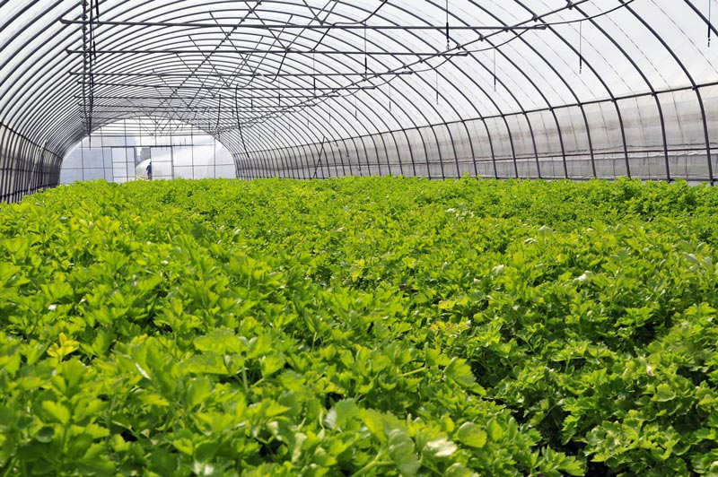 氣象五參數(shù)監(jiān)測(cè)儀