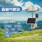 如何監(jiān)測(cè)森林火災(zāi)？