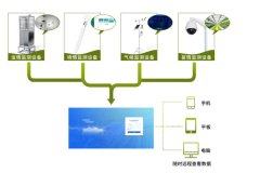 在番石榴的種植中，農(nóng)業(yè)四情監(jiān)測(cè)系統(tǒng)有何作用？