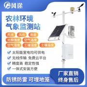 沙棘果，致富新良機